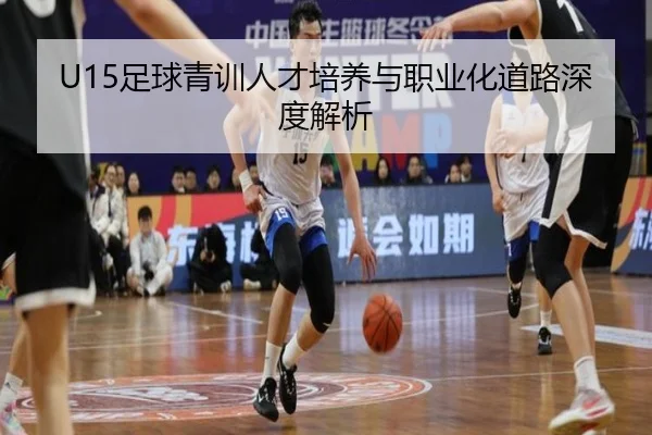 U15足球青训人才培养与职业化道路深度解析